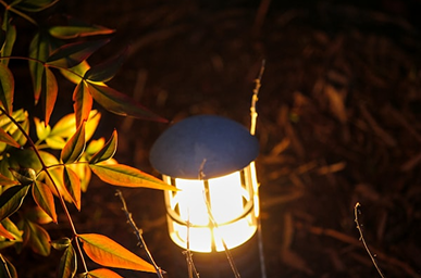 Lampe de camping rechargeable USB